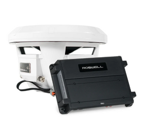 Roswell R1 10" Subwoofer Package