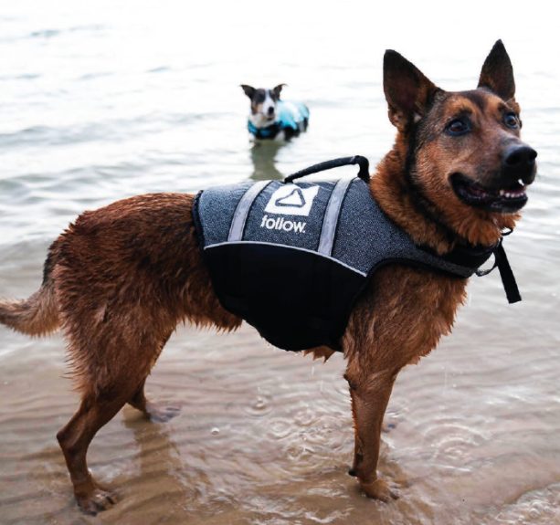 Follow Wake Dog Floating Aid 2021